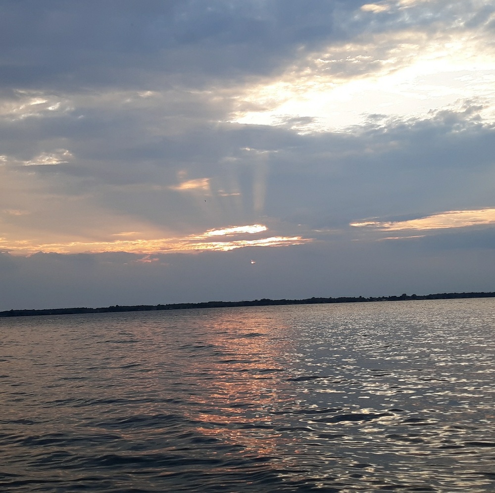 Meet your Posher, Maddie